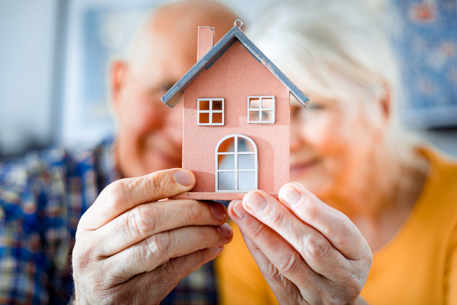 Viager Immobilier : Acheter ou Vendre en Viager